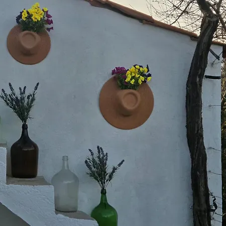 Patio Do Tear בית נופש